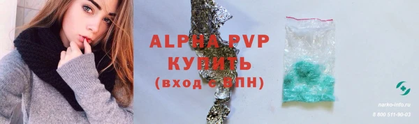 прущие грибы Бородино