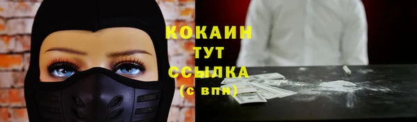 прущие грибы Бородино