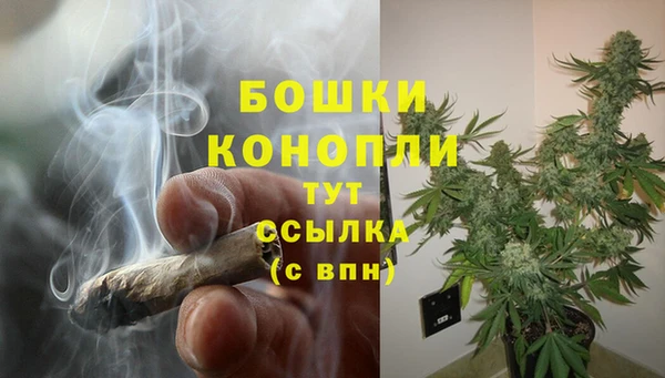амф Богородск