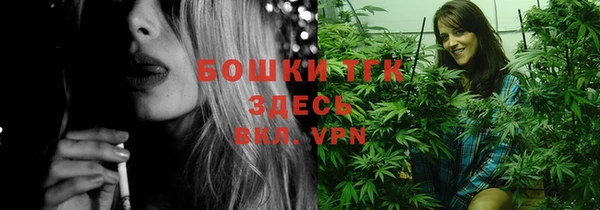 метадон Богданович