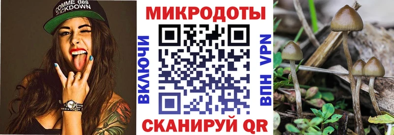 Псилоцибиновые грибы Psilocybine cubensis  mega ссылка  Сретенск 